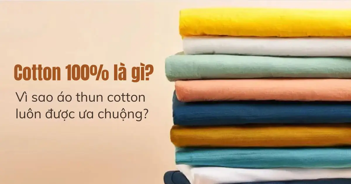 cotton 100 la gi vi sao ao thun cotton luon duoc ua chuong