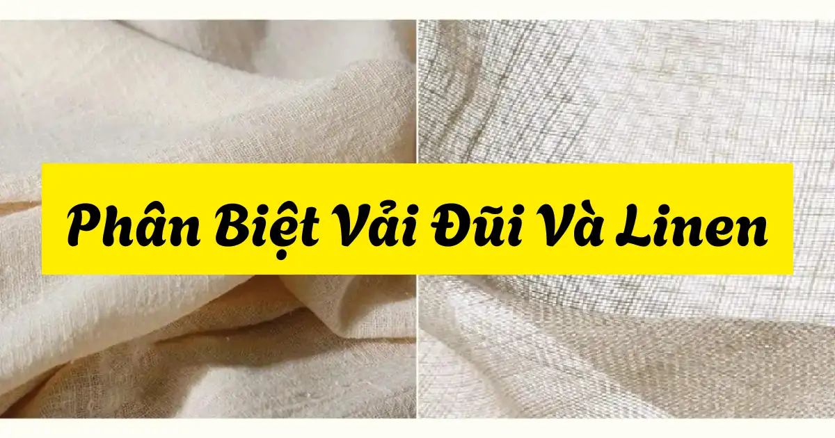 phan biet vai dui va linen