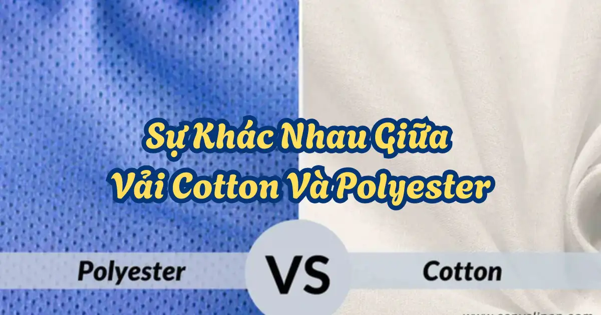 su khac nhau giua vai cotton va polyester